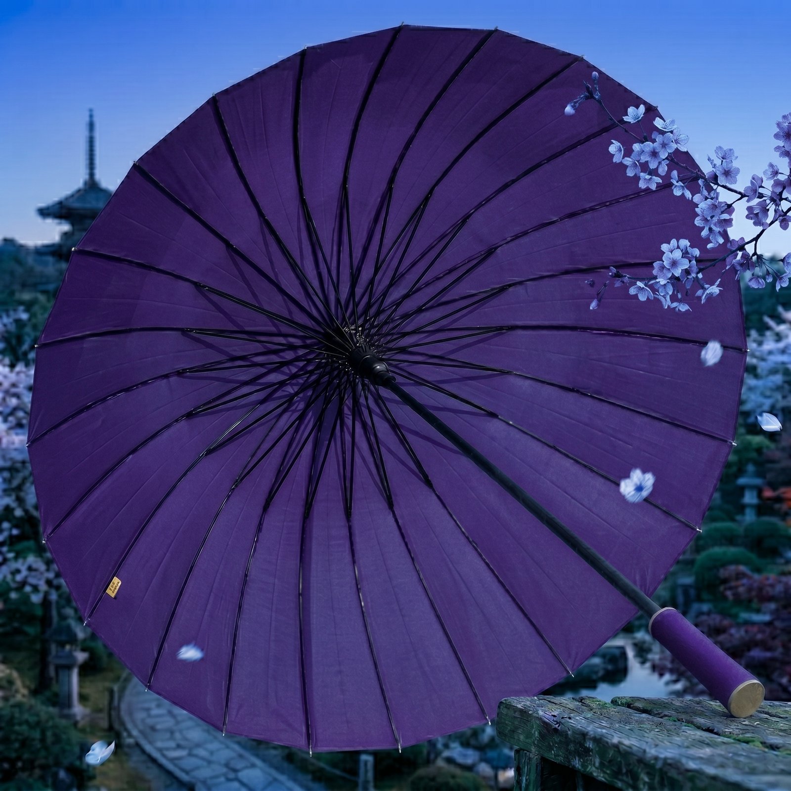 Purple color